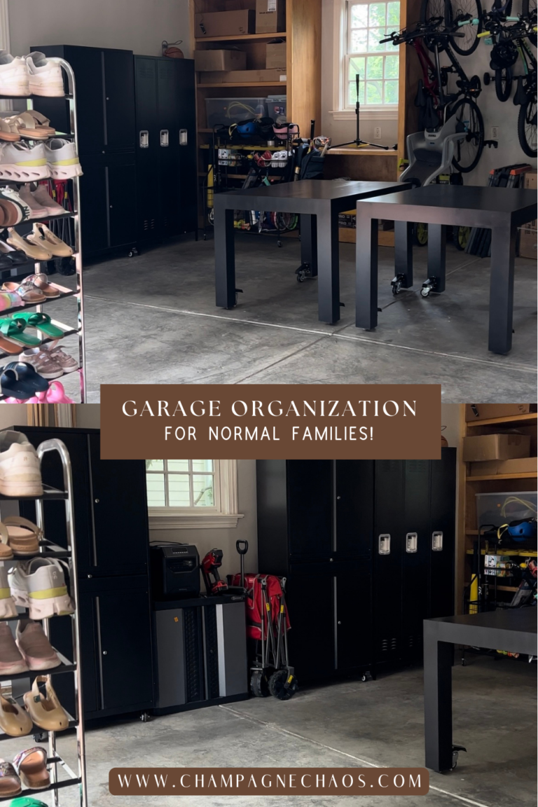 Garage Organization Champagne Chaos